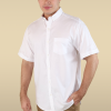Camisa básica manga corta 100% Algodón Premium